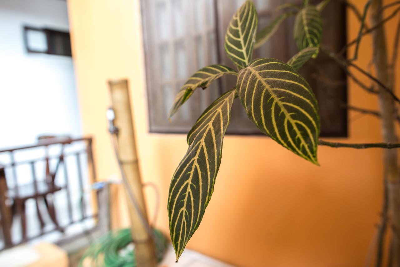 Bulskamp Inn (Adults Only) El Nido Exterior photo